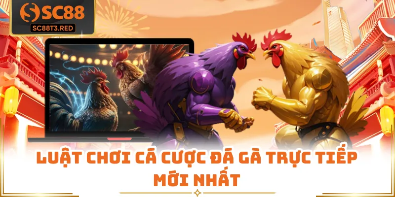 Luật chơi cá cược đá gà trực tiếp mới nhất